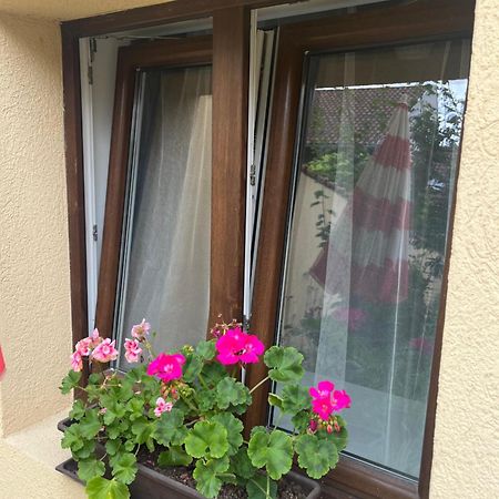 Kerti Franciaagyas Apartman 베크 외부 사진